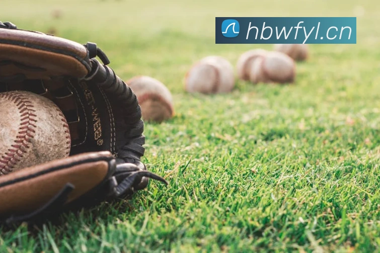 beat365唯一官方网站平台生态图